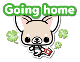 Chihuahua 3D Sticker ( English ) sticker #5759294