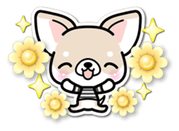 Chihuahua 3D Sticker ( English ) sticker #5759297