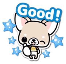 Chihuahua 3D Sticker ( English ) sticker #5759300