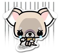 Chihuahua 3D Sticker ( English ) sticker #5759305