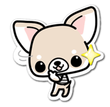 Chihuahua 3D Sticker ( English ) sticker #5759307