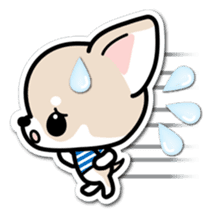 Chihuahua 3D Sticker ( English ) sticker #5759308