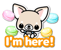 Chihuahua 3D Sticker ( English ) sticker #5759309