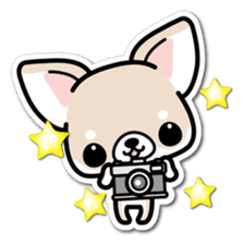 Chihuahua 3D Sticker ( English ) sticker #5759324