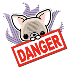 Chihuahua 3D Sticker ( English ) sticker #5759329