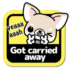 Chihuahua 3D Sticker ( English ) sticker #5759330