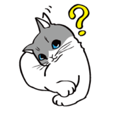 Avid cat. sticker #5761056