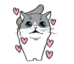 Avid cat. sticker #5761057