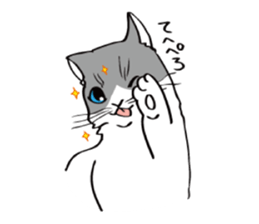 Avid cat. sticker #5761058