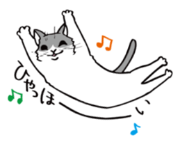 Avid cat. sticker #5761059