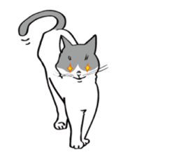 Avid cat. sticker #5761061