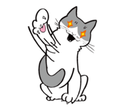 Avid cat. sticker #5761063