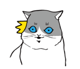 Avid cat. sticker #5761065