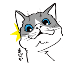 Avid cat. sticker #5761066