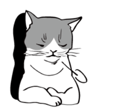 Avid cat. sticker #5761068