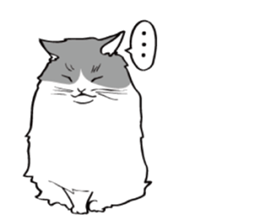 Avid cat. sticker #5761071