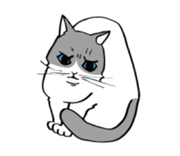 Avid cat. sticker #5761073