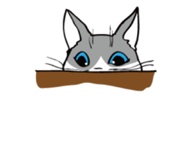 Avid cat. sticker #5761076