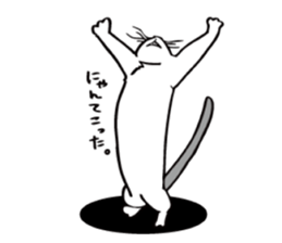 Avid cat. sticker #5761079