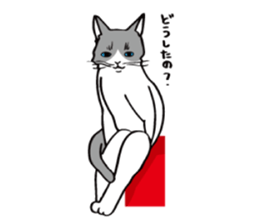 Avid cat. sticker #5761080