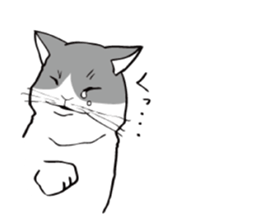 Avid cat. sticker #5761084