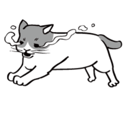 Avid cat. sticker #5761085