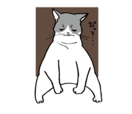 Avid cat. sticker #5761086