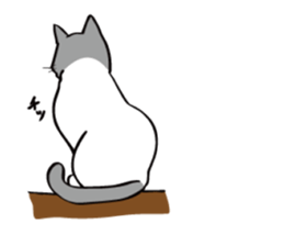 Avid cat. sticker #5761087