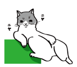 Avid cat. sticker #5761088