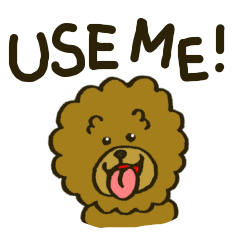 A toy poodle has round hair 2