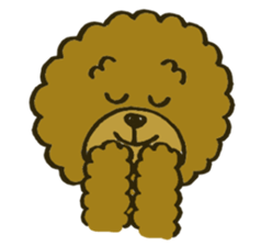 A toy poodle has round hair 2 sticker #5763173