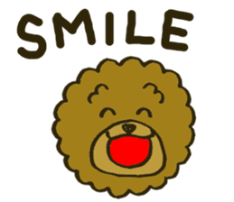 A toy poodle has round hair 2 sticker #5763174