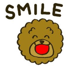 A toy poodle has round hair 2 sticker #5763174