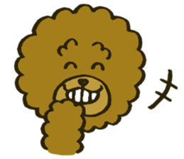A toy poodle has round hair 2 sticker #5763175