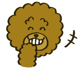 A toy poodle has round hair 2 sticker #5763175