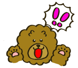 A toy poodle has round hair 2 sticker #5763178