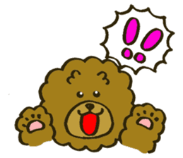 A toy poodle has round hair 2 sticker #5763178