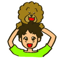 A toy poodle has round hair 2 sticker #5763180