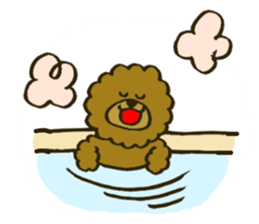 A toy poodle has round hair 2 sticker #5763181