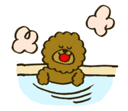 A toy poodle has round hair 2 sticker #5763181