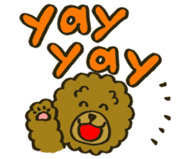 A toy poodle has round hair 2 sticker #5763185