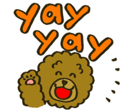 A toy poodle has round hair 2 sticker #5763185