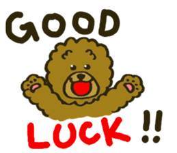 A toy poodle has round hair 2 sticker #5763195