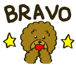 A toy poodle has round hair 2 sticker #5763198