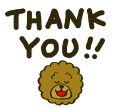 A toy poodle has round hair 2 sticker #5763202