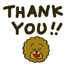 A toy poodle has round hair 2 sticker #5763202