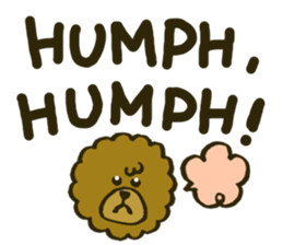 A toy poodle has round hair 2 sticker #5763204