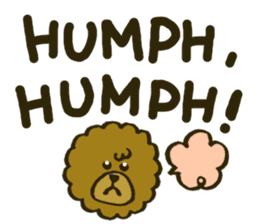 A toy poodle has round hair 2 sticker #5763204