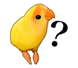 Real bird sticker sticker #5764852