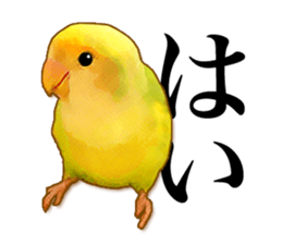 Real bird sticker sticker #5764853